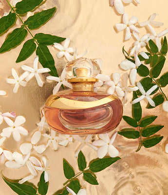 Women's Fragrance