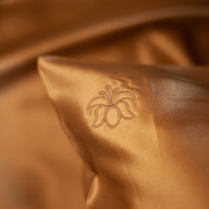 Mulberry Silk Luxury Pillowcase Champagne